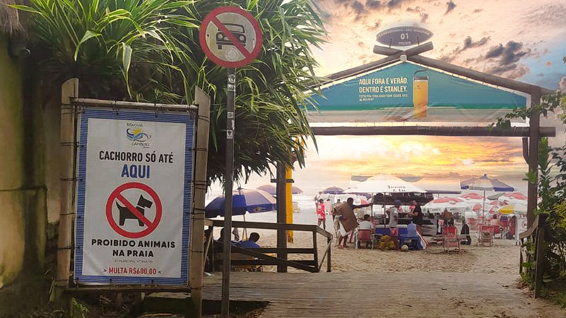 Quente por fora e refrescante por dentro, Stanley incorpora o verão perfeito nas ruas e praias